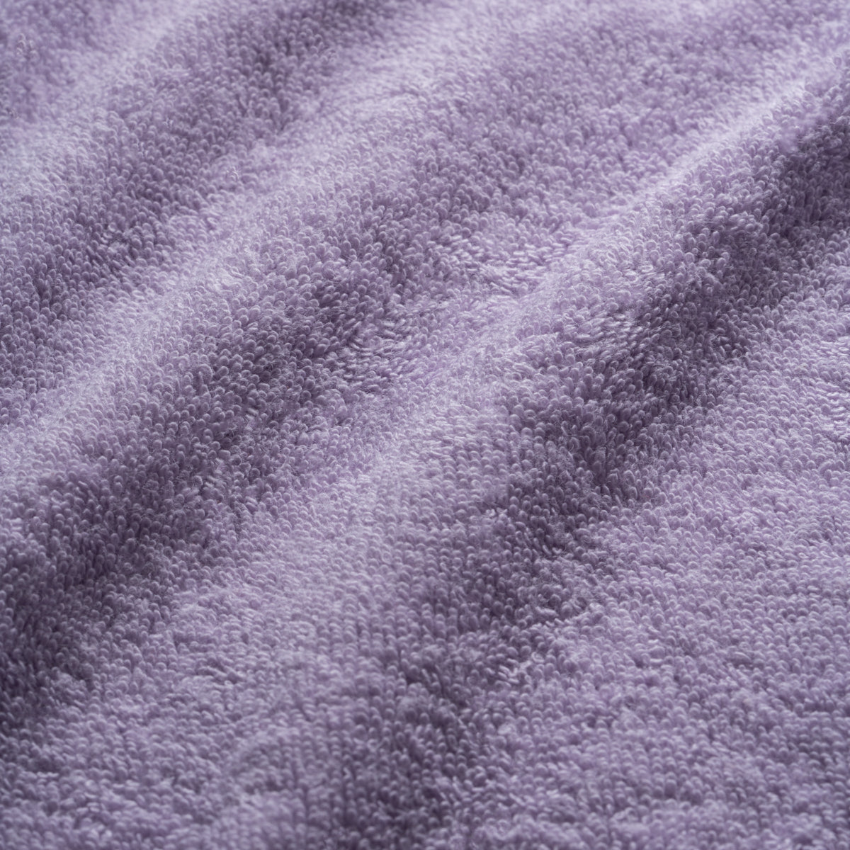 FROTTE VIOLETT